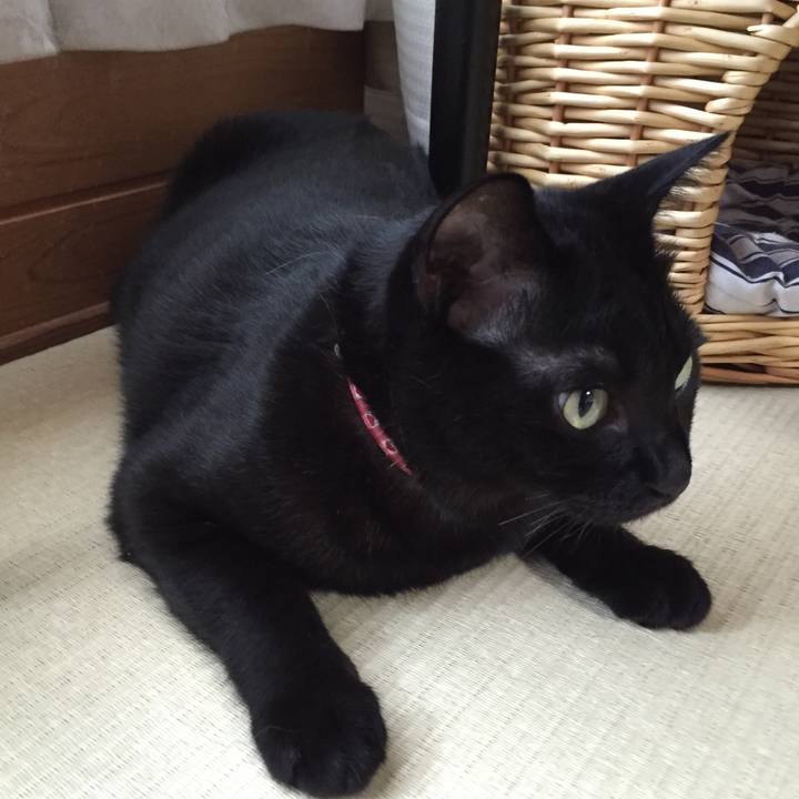 Efe1a8eb b680 4e9d 8958 fa59d2e99a5a