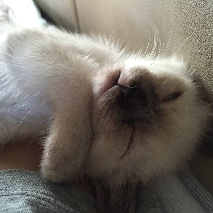 Efe1d966 f9b2 4fda b369 f30ce19484e3