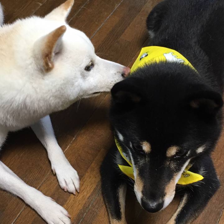 Efe2077d 95b5 4c80 b94c 6a908c6375d6