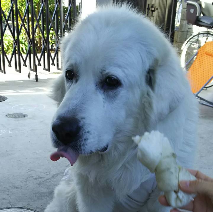 Efe45000 dd13 45e1 9976 207ee813473c