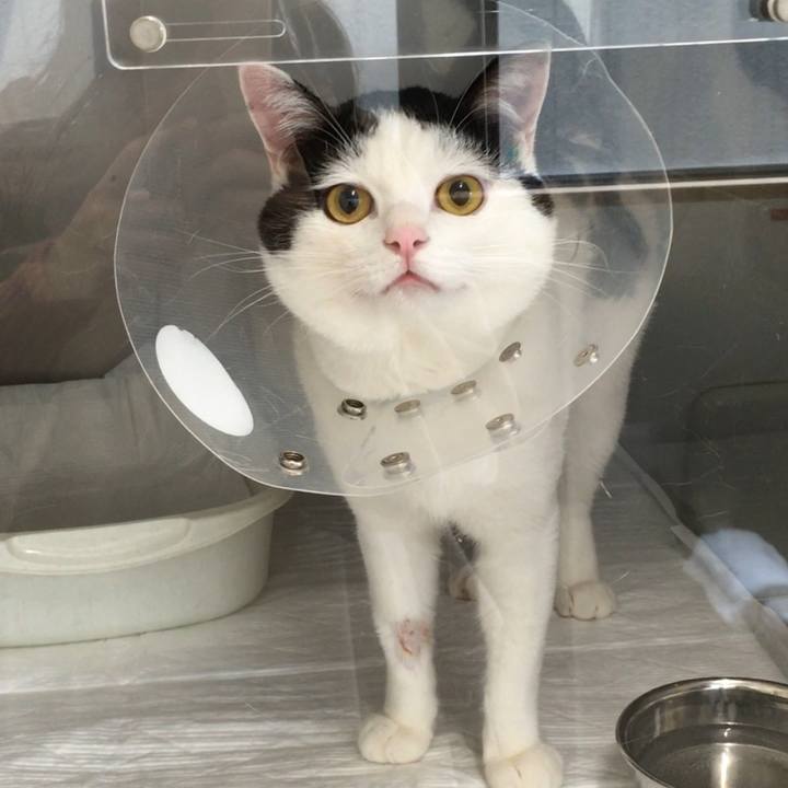 Efe471eb fa04 49f7 ae0a f8a2a39845d3