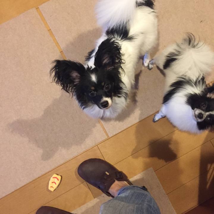 Efe4d1fc c0e5 4b7c b6aa 376f60a2e934