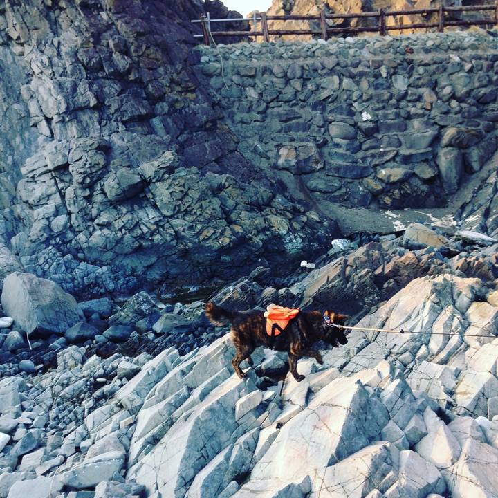 Efe53195 a032 4a9d bfab bc48e17ddce6