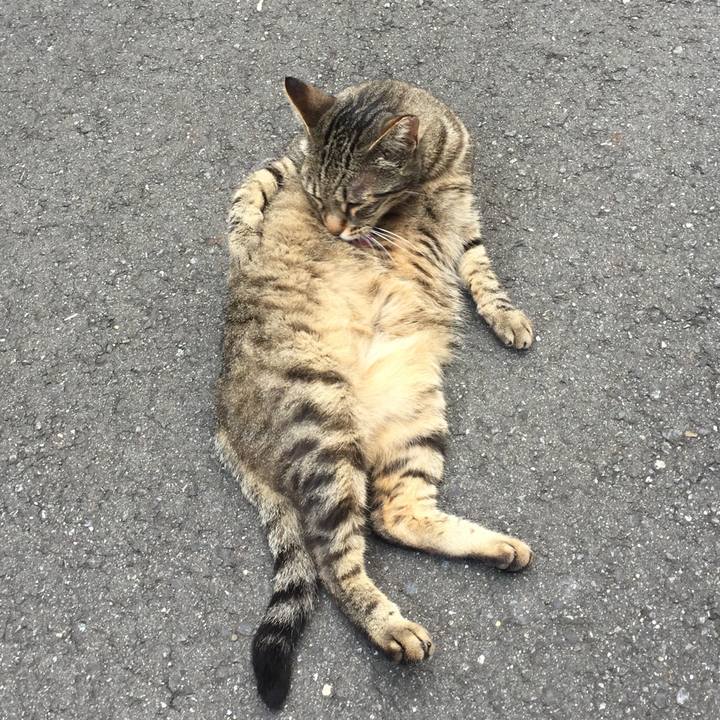 Efe534b8 4073 4f40 b207 a753b058d131