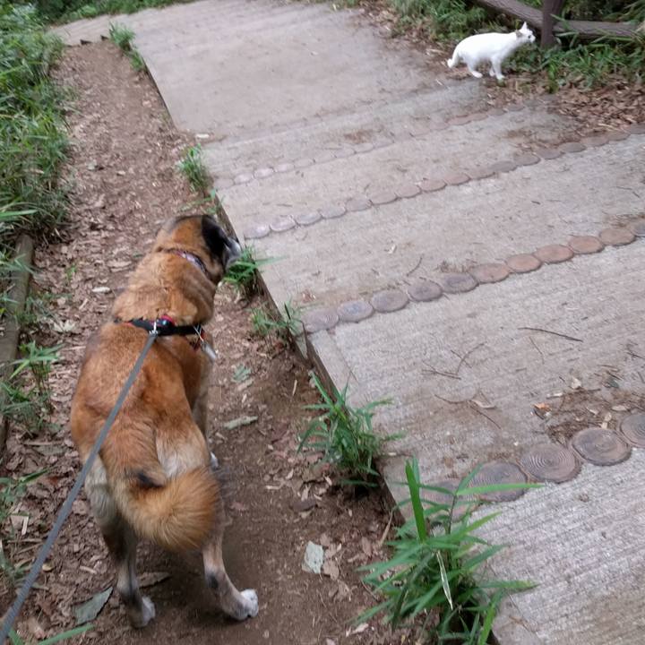 Efe553f8 1102 448c 8e1e c35afa3e54e3