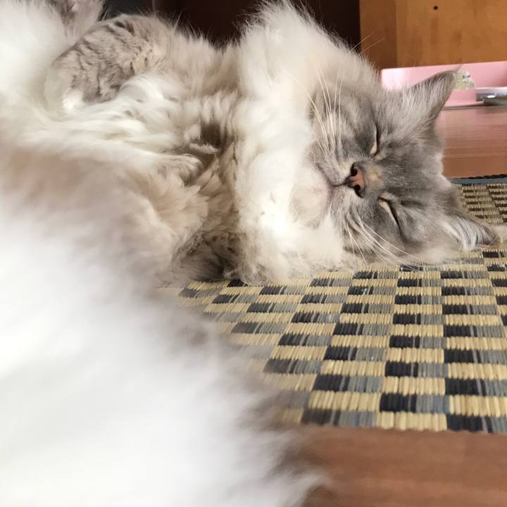 Efe57756 9d71 48a0 b9e5 d818e5becf85