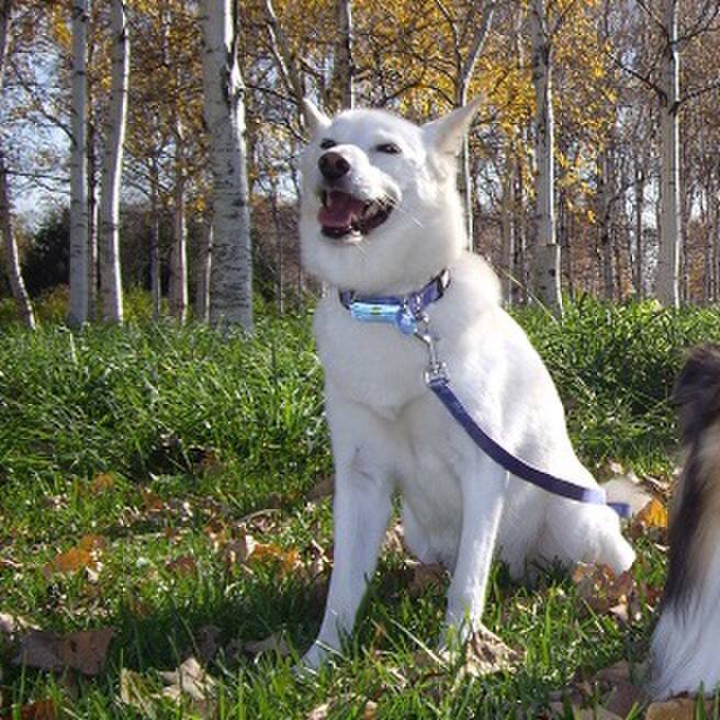 Efe5b4de 0862 4a18 9547 44a61b9101da