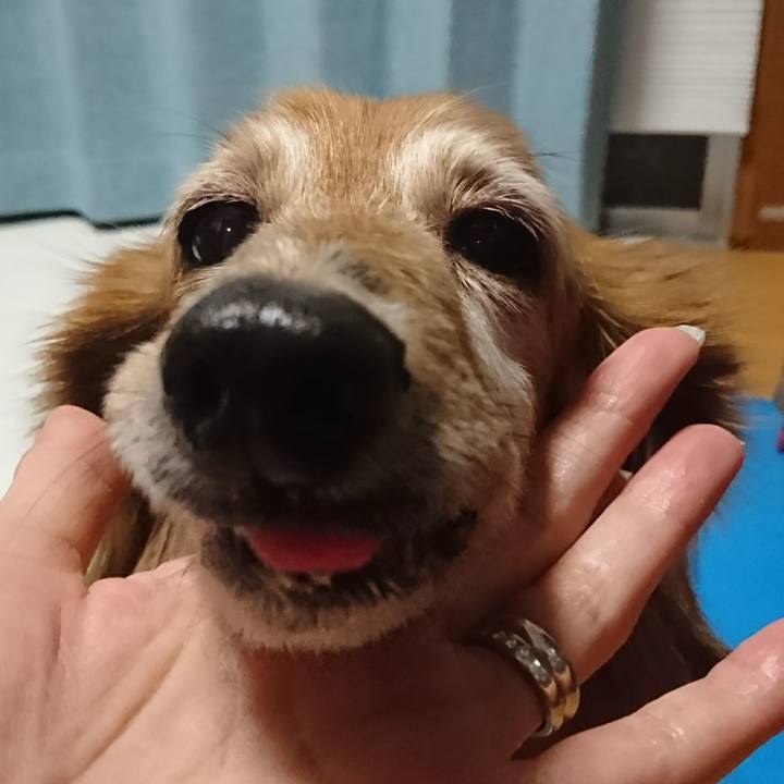 Efe603c9 2584 4597 a894 f48e14cb06d0