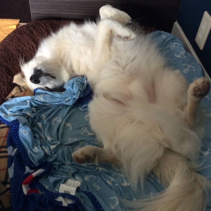 Efe6565e 50e4 4e18 b260 9796b760bd78