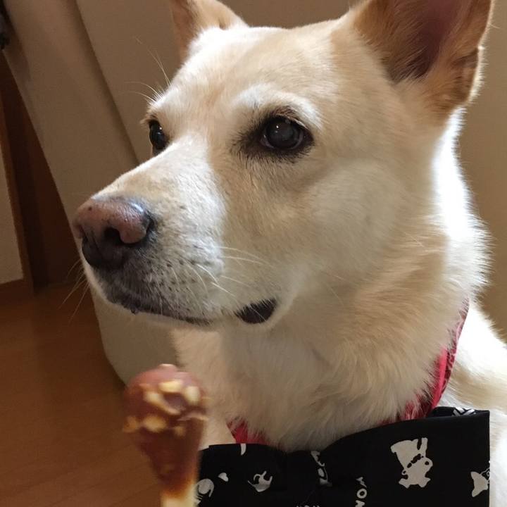 Efe788a4 511a 4bd6 8db7 4740a409f9bd