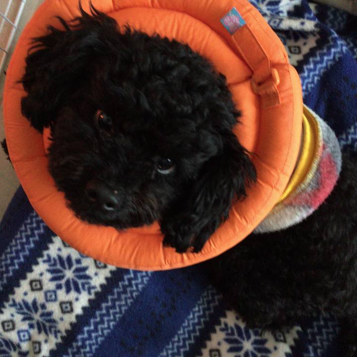 Efe7a220 890e 4973 b491 6e57a1199fee