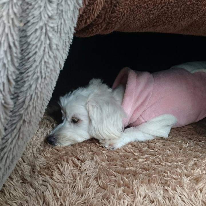 Efe82b47 c068 4bd8 9bc3 270b48ff9819