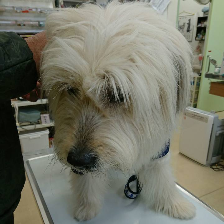 Efe86302 a1d3 46a3 aa61 7b484c26ebbf