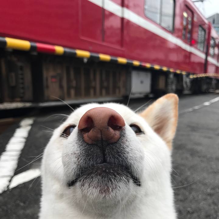 Efe8f50b 83fe 4a36 9cfb 1b07ee170f30