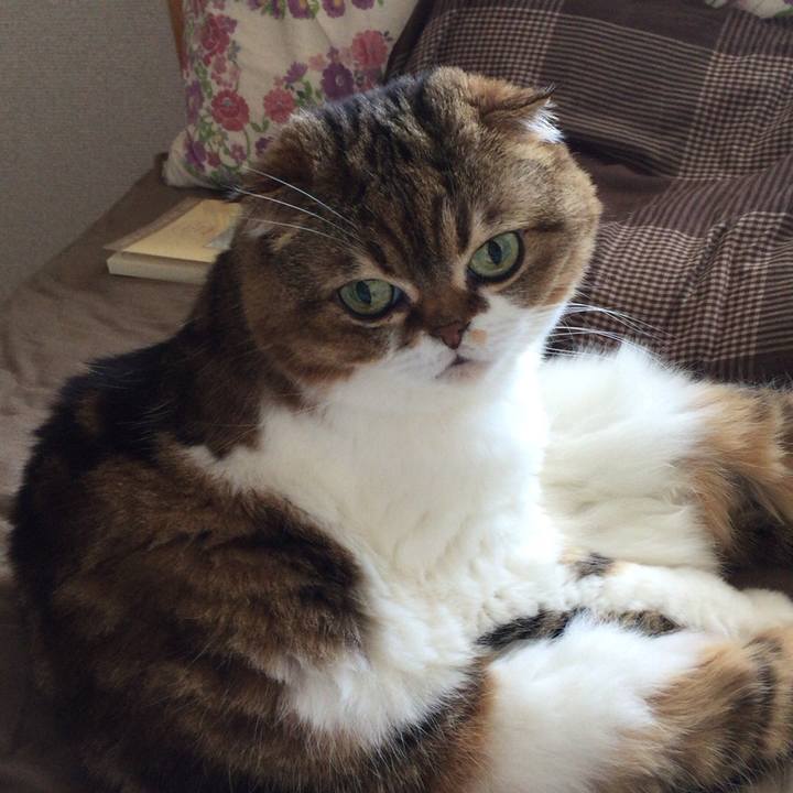 Efe90c16 55d5 461d 8d6d a14629356c82