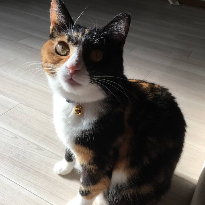 Efe93c66 6b16 4331 abaa 65517621369a