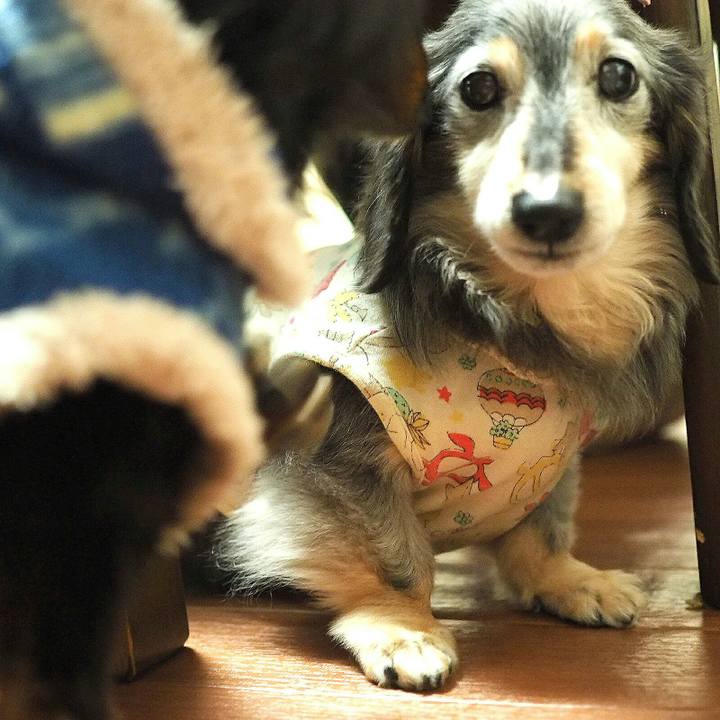 Efe968b6 15c9 4050 a733 729e840dce16