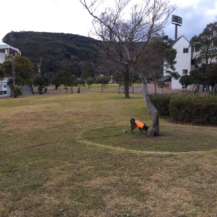 Efe98c5a 6522 4f0b 97cc b9da19437d48