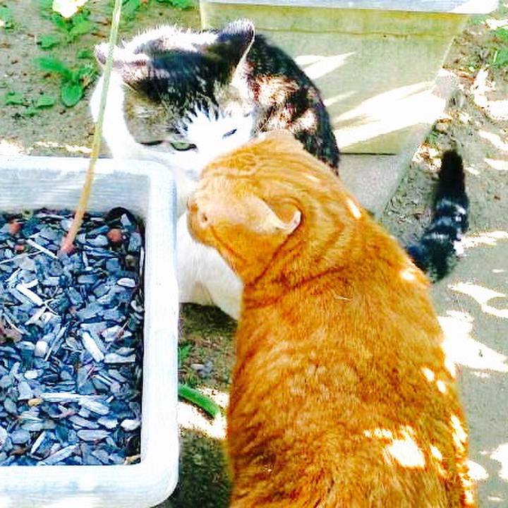 Efe99ab8 e01c 4be0 bf2f 114f83302414