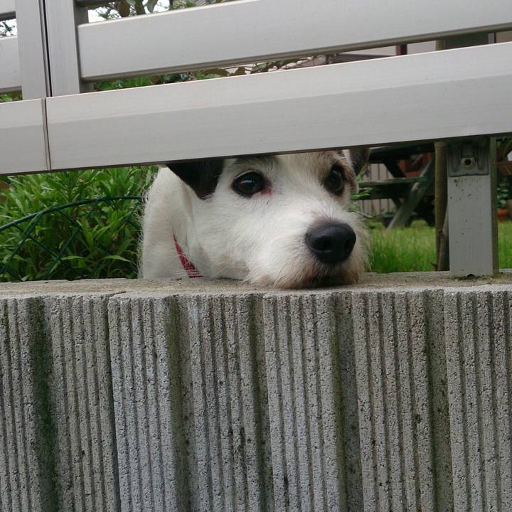 Efeaaa59 d9ff 424e bdf9 32cf40425426