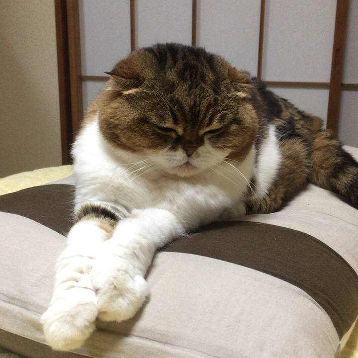 Efeabb8e 1ccb 4ad3 b80f 4f6e8777f199