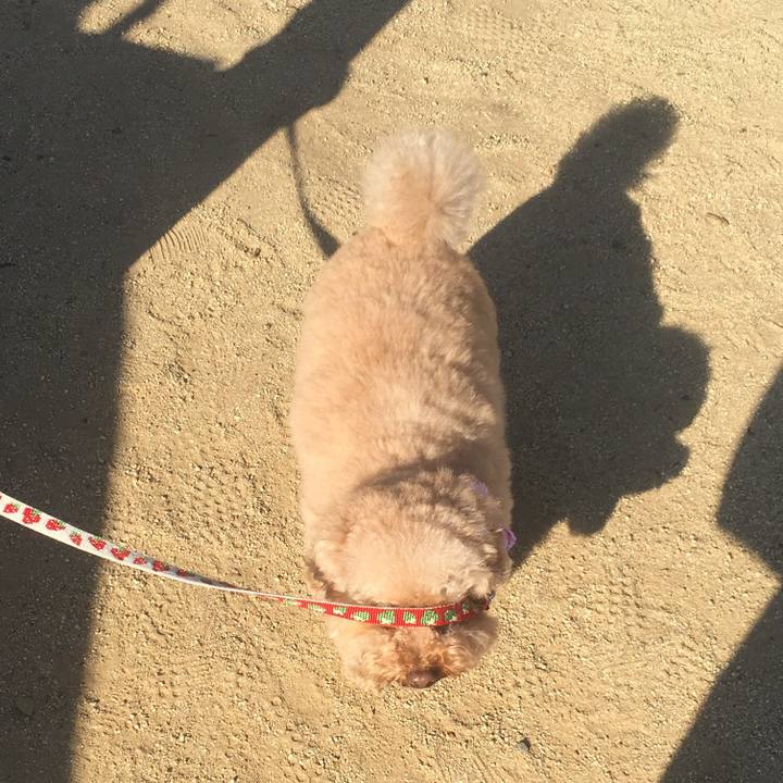 Efeb051c 08d5 4b88 9d8f 3558af1ae1ee