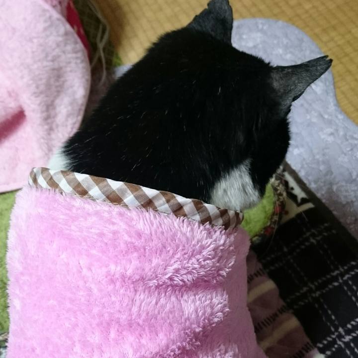 Efeb149d 53bb 4a29 8902 8c764f549827