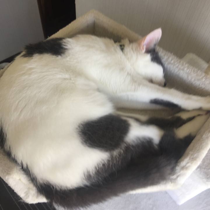 Efebea45 cafb 4cb4 9457 f50005fc175d