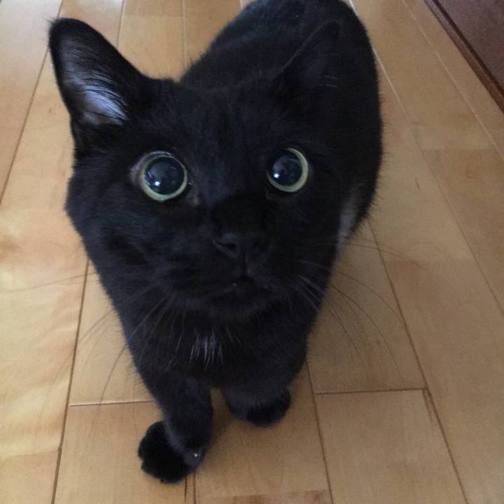 Efebfed1 74ca 4ead 9a35 55a1a609badd