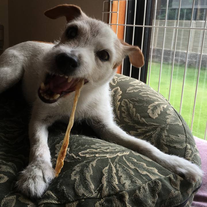 Efec0b4a 2d06 4b26 be23 928ae4bd256b