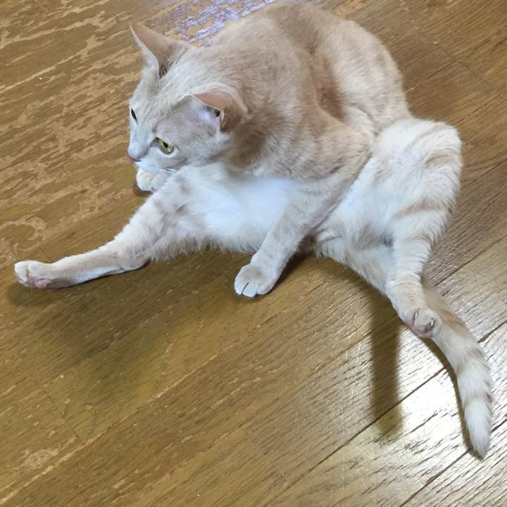 Efec7dec d372 4185 9d1d 363b01307c25