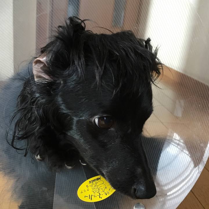 Efecacb1 7fbe 40cd a838 6295c93c3dad