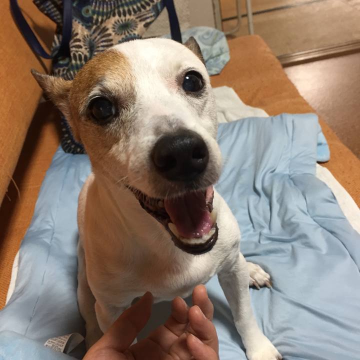 Efecc927 df19 45bb b518 f243c31473ce