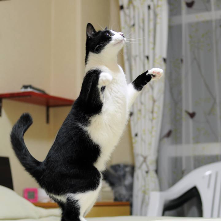 Efed248f 2b9e 4c49 9d47 dd92c9249cca