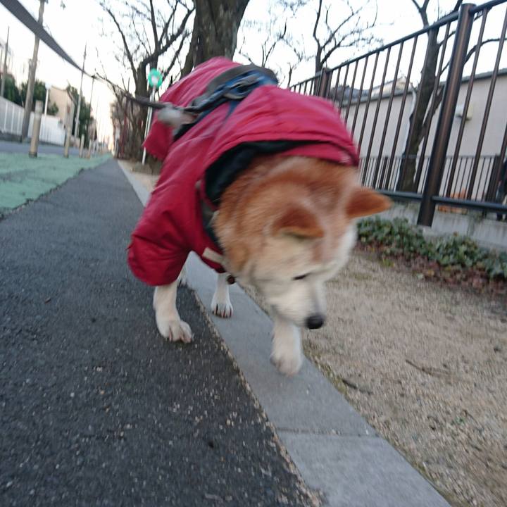 Efed3ffb 8b42 47b6 82fb b64646596ea2