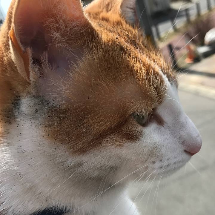 Efed6d57 f3e2 45a4 92e1 5a814615e308