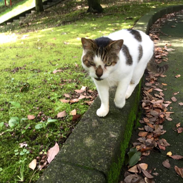 Efee26fe 0d05 4ef6 9c90 6994f9eaf8b2