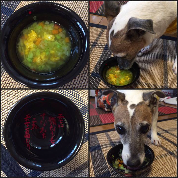 Efee2f37 6ffc 4695 aee2 d57982d7dc38