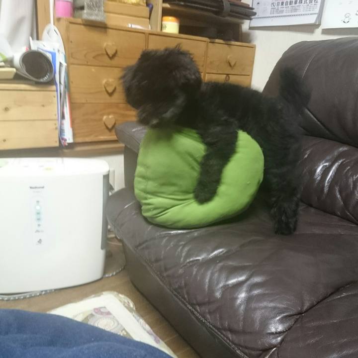 Efee7c9f 5ce4 473f 90e6 0366ca742af5