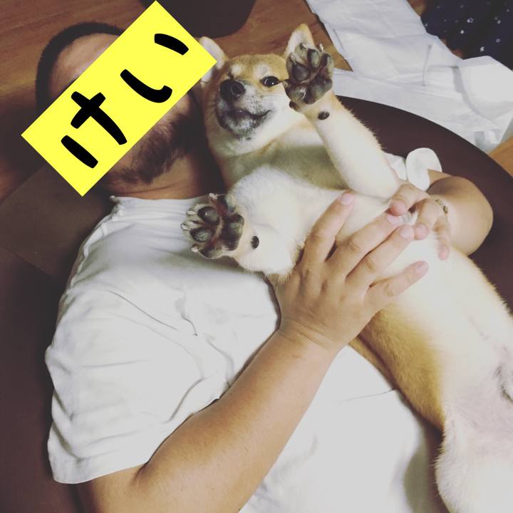 Efee8308 bdec 4182 ae45 e0c157a26ee9