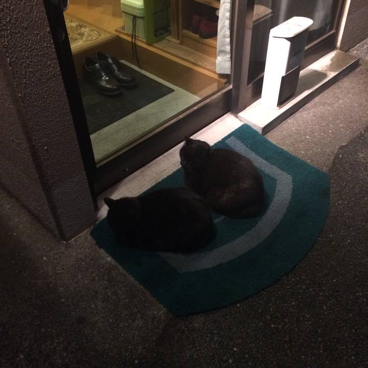 Eff00867 0b5e 432d 903c da78de62fca8