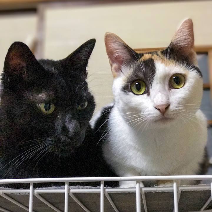 Eff008ba ba45 4e34 a6e3 8cf5133b72af