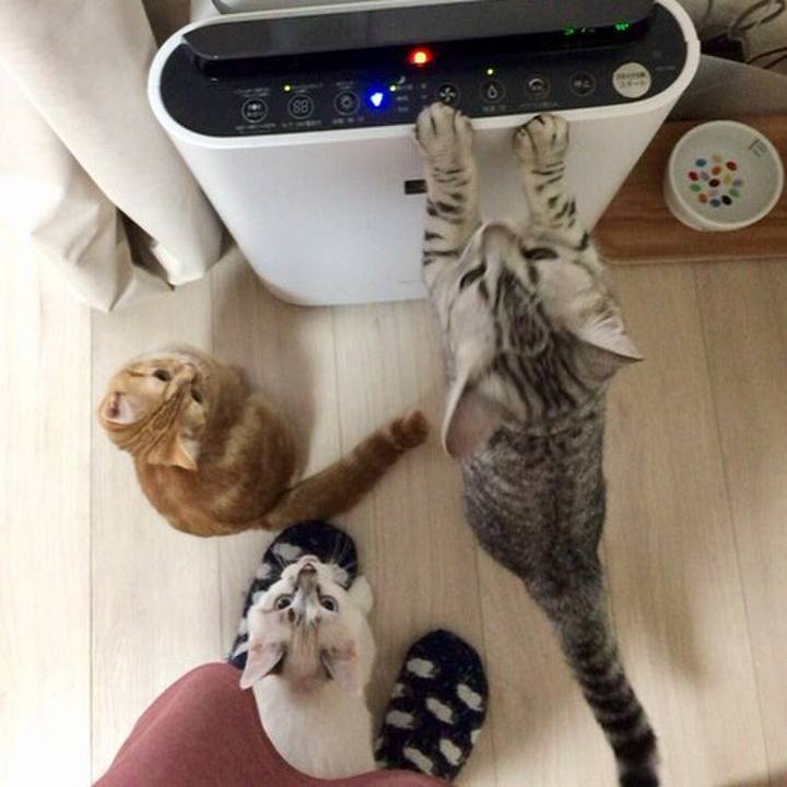 Eff0b28f 4f37 4880 bc65 bc7ed3652323