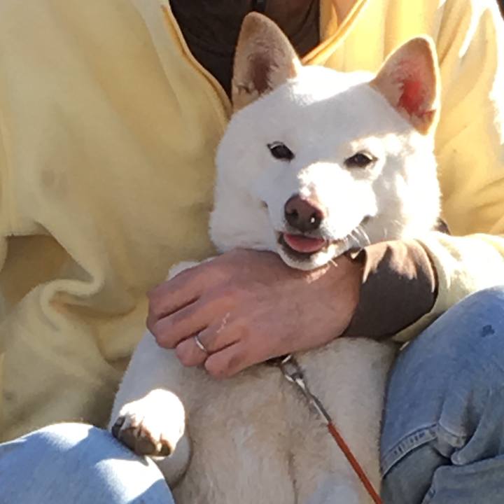 Eff11b86 f9bd 41b0 93cb 9a21e646195d