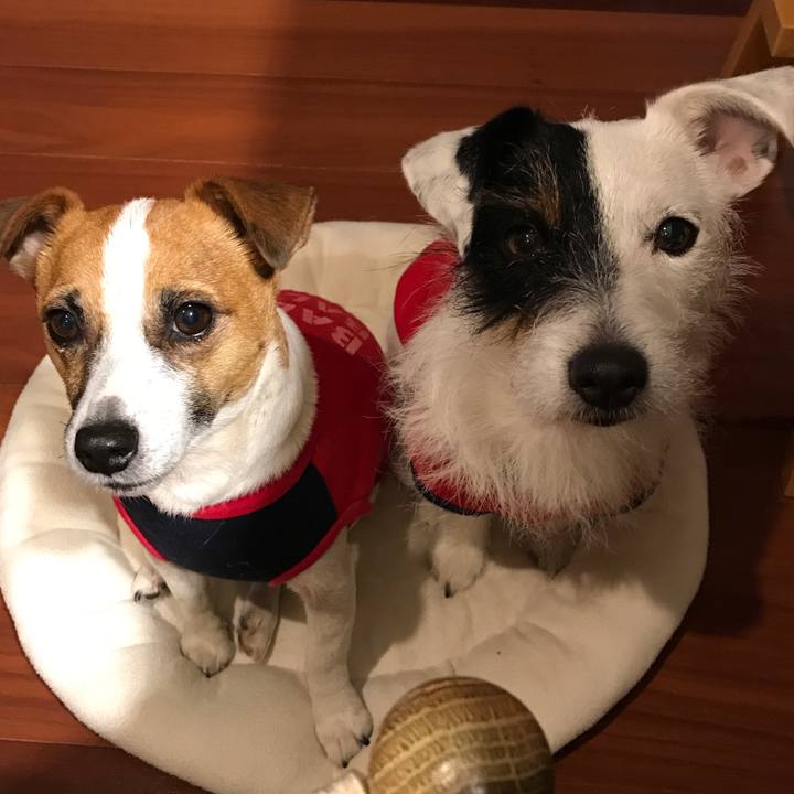 Eff185f5 473a 4f7e 9b61 091c65f592f0