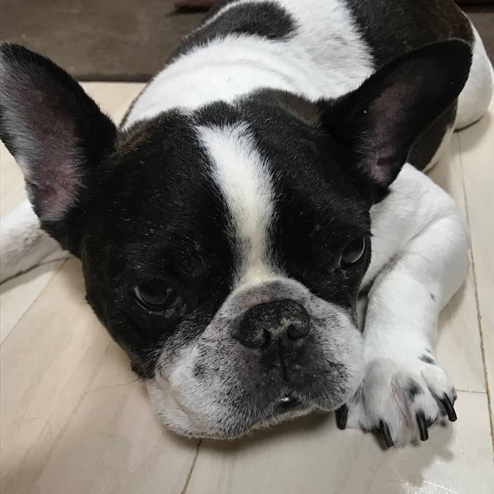 Eff1a073 7e36 462e bef4 573b6c3e00eb