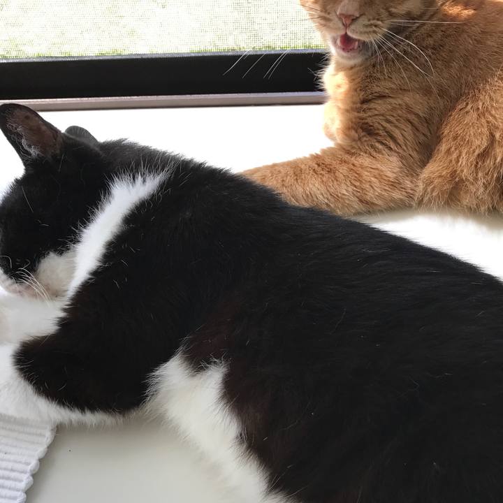 Eff211d7 3bca 4c12 9b87 caa402ee756e