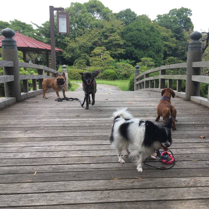 Eff37d64 76c3 4b53 9d62 1b12338df6a4