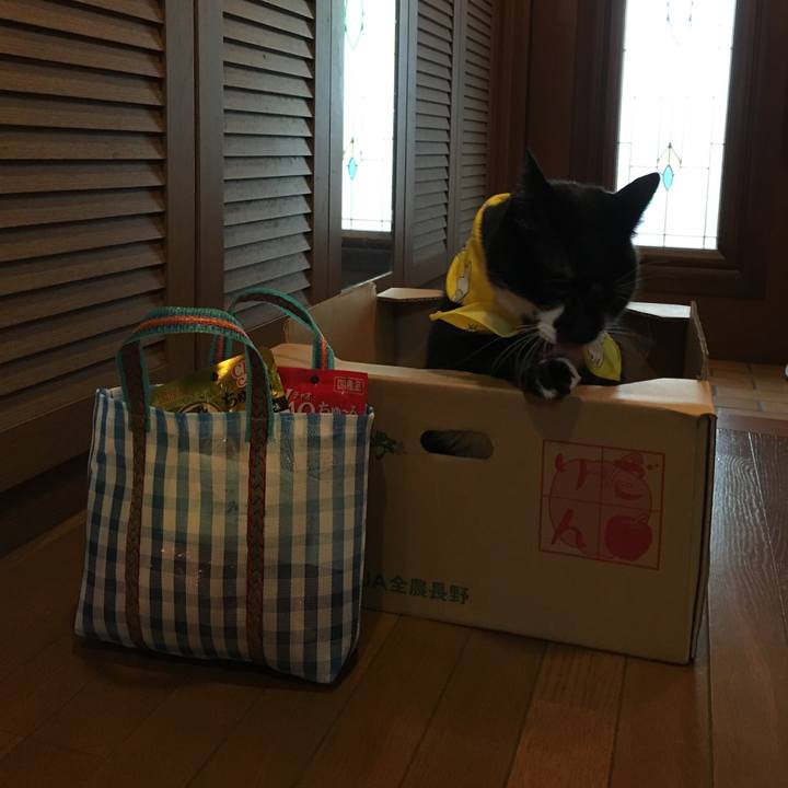 Eff38b86 f1c4 4aef b3fd 0003d5188039