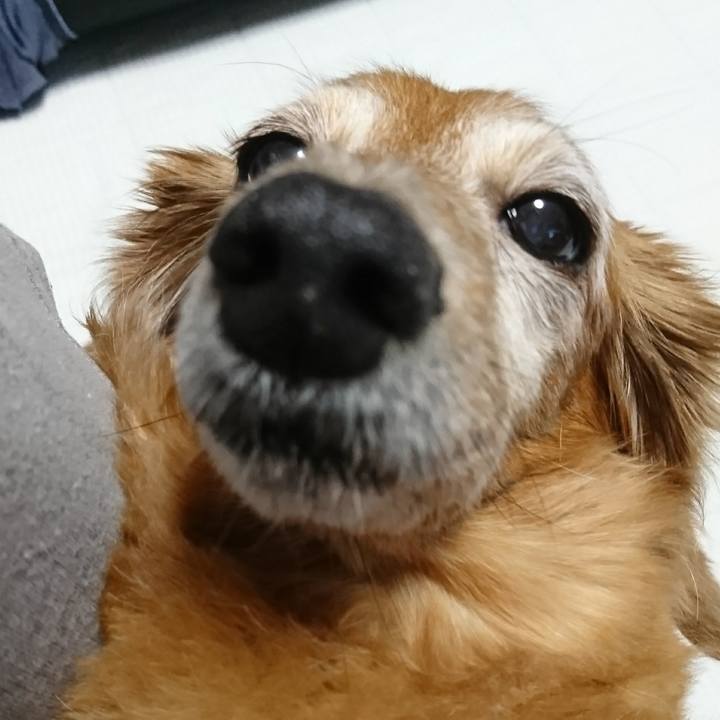 Eff3929b 47bb 4951 8c40 efbabdacbc4b